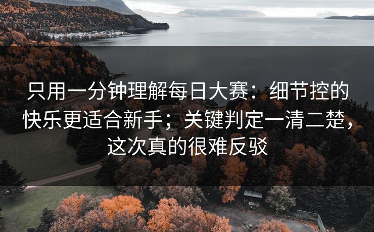 只用一分钟理解每日大赛：细节控的快乐更适合新手；关键判定一清二楚，这次真的很难反驳