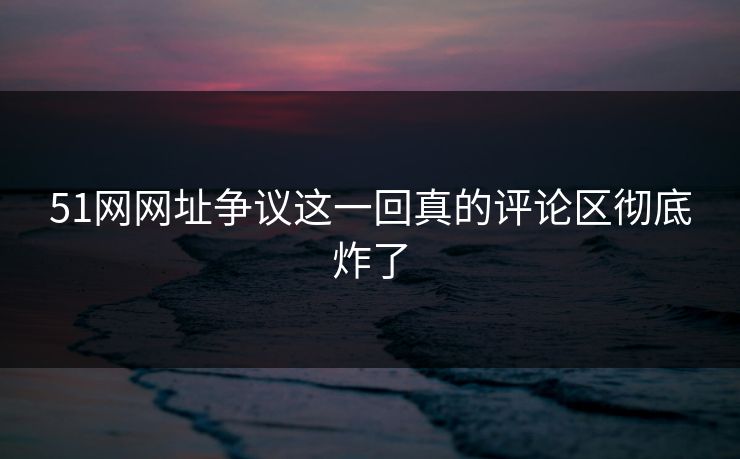 51网网址争议这一回真的评论区彻底炸了